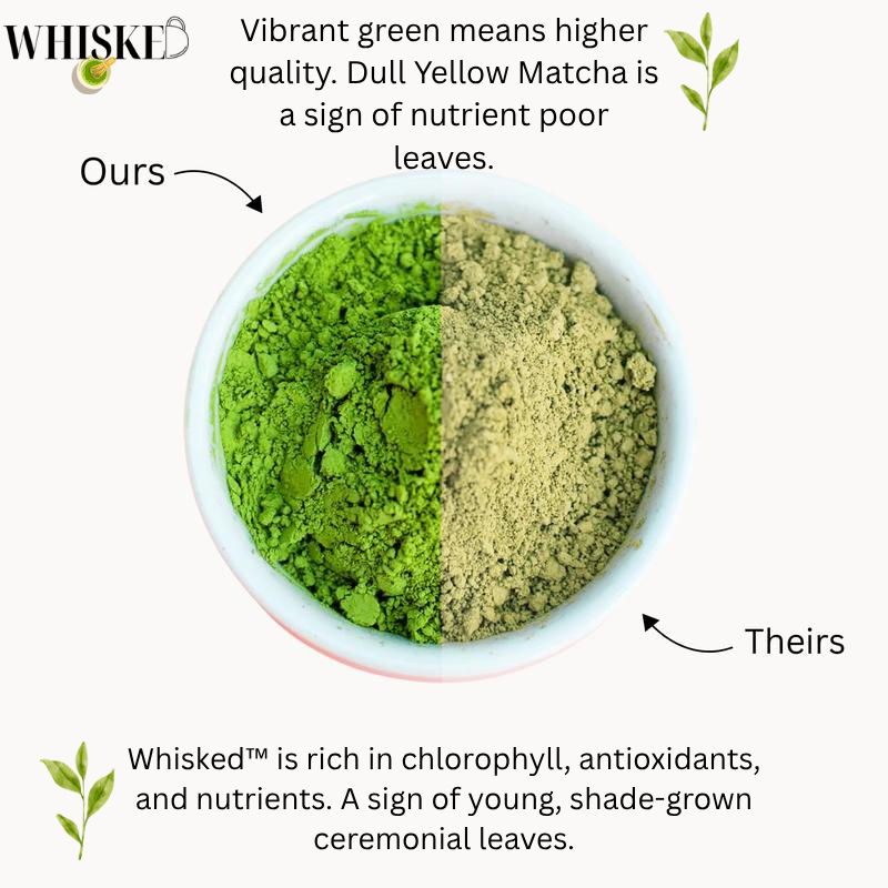 Whisked™ — Ceremonial Mushroom Matcha Blend